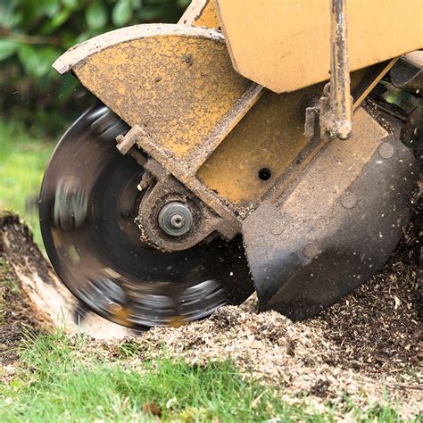 stump removal grinder